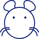 胖鼠采集